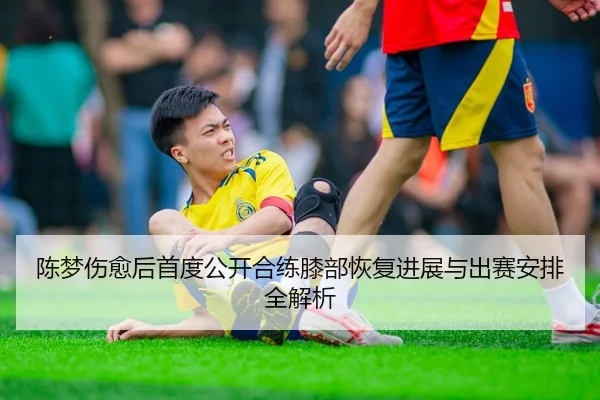 陈梦伤愈后首度公开合练膝部恢复进展与出赛安排全解析
